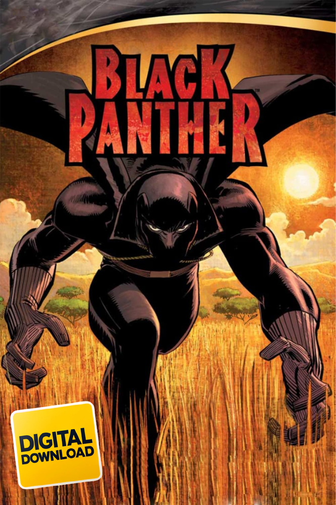 Black Panther (2010-2013)