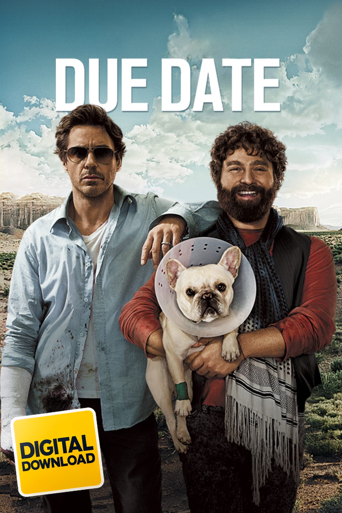 Due Date (2010)