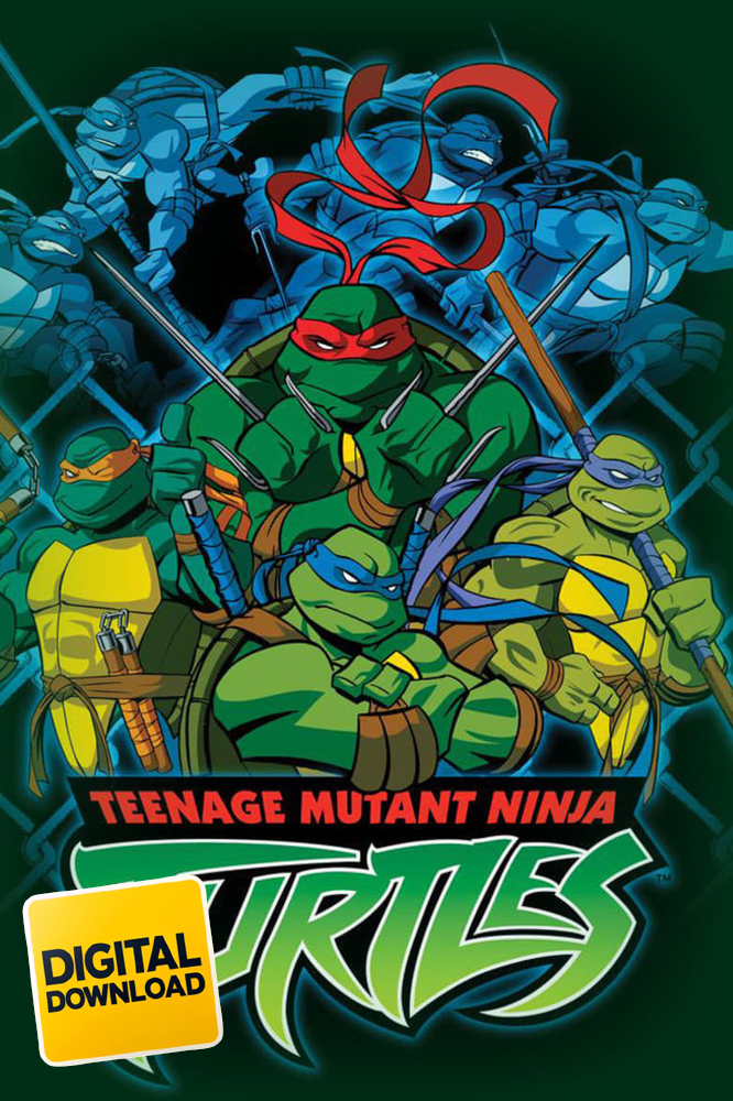 Teenage Mutant Ninja Turtles (2003-2010)